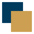 Navy and Gold Swatch